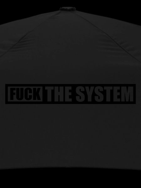 Logo baise le système