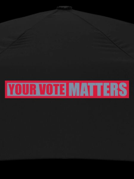 your vote matters quote
