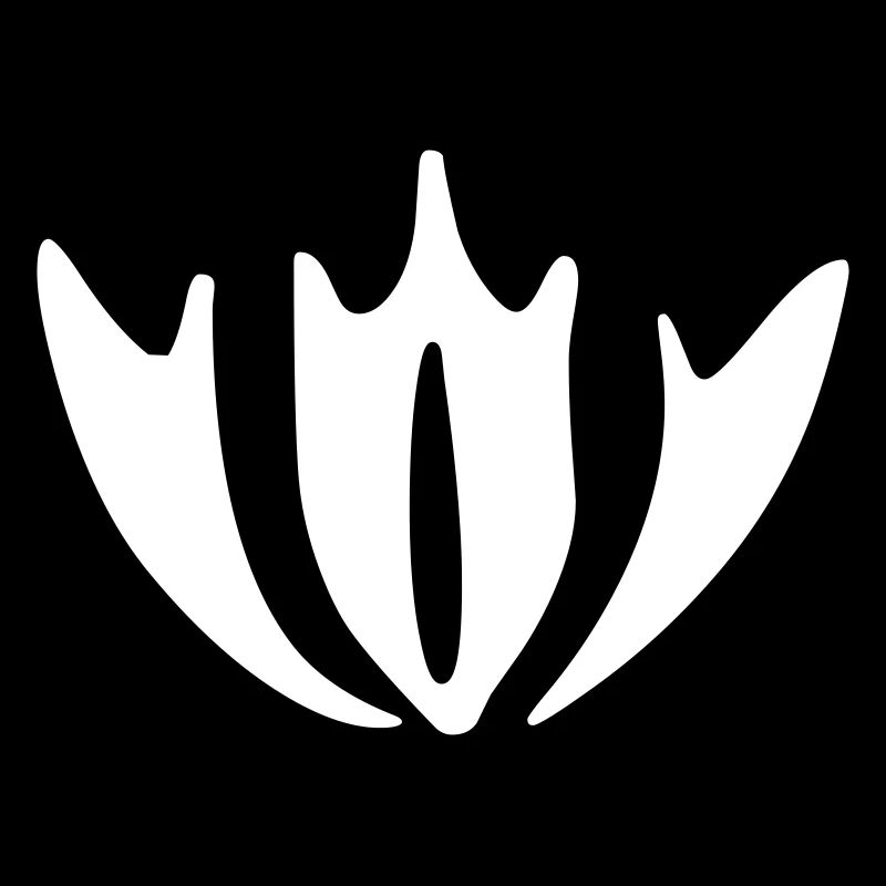 Boroni Ornament 2 - Vectorgraphic