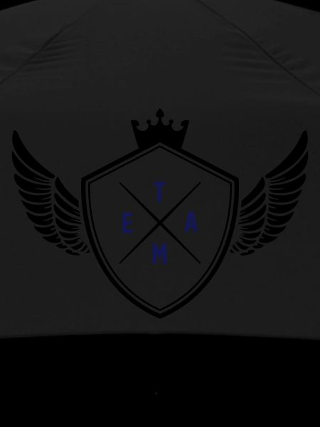 Coat of Arms Team