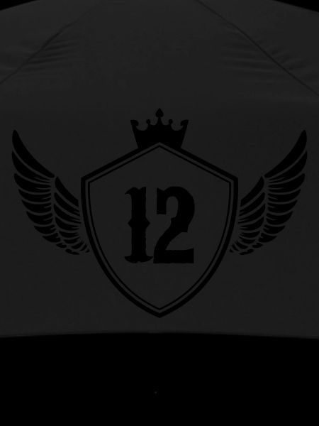 Coat of arms 12