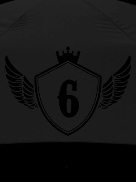 Coat of arms 6