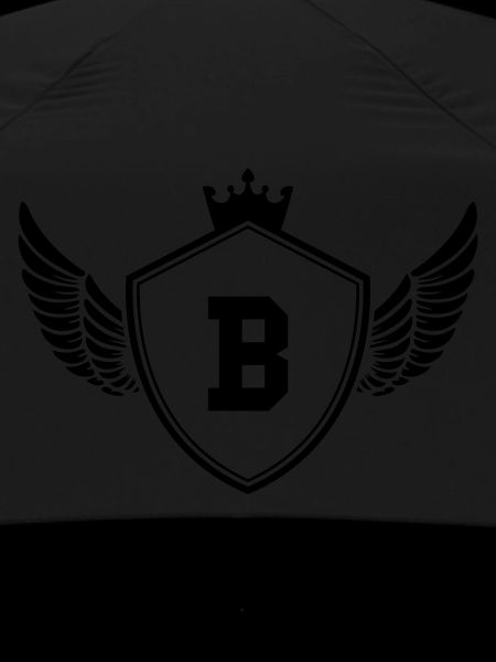 Coat of arms B