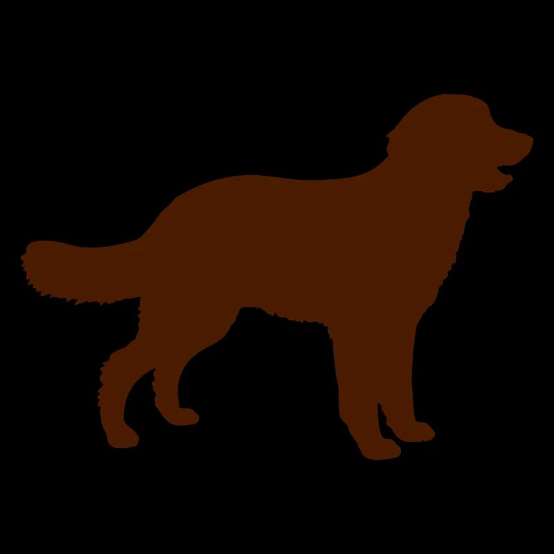 chien