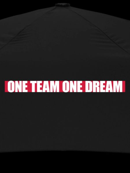 Mannschaft One Team