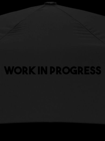 work in progress