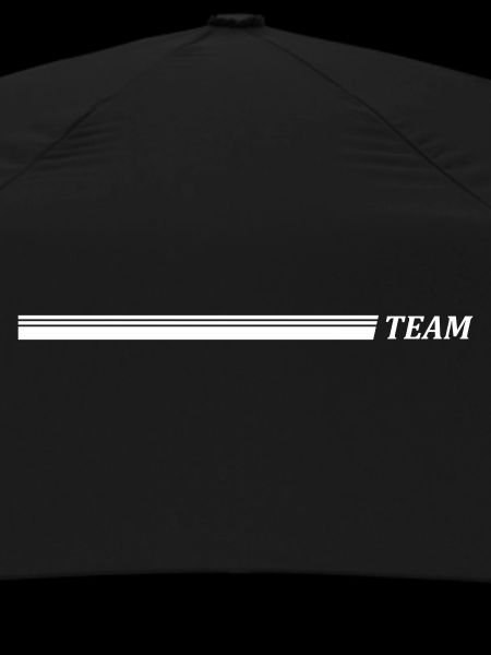 Team Stroke