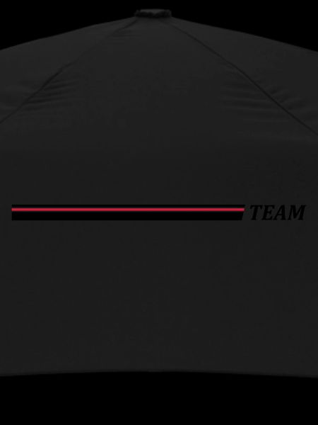 Team Stroke