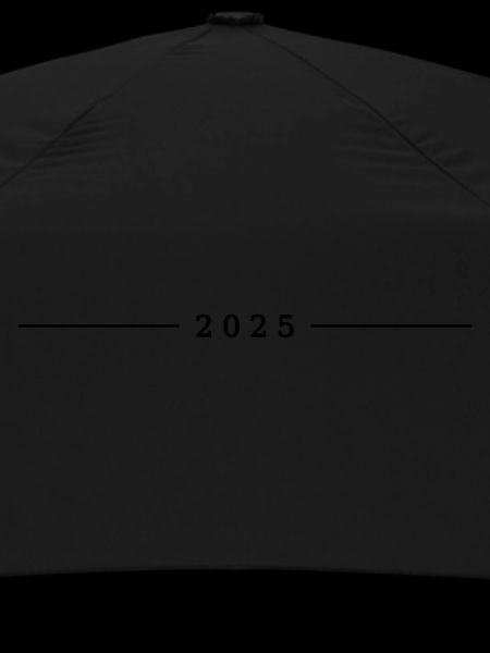 2025 year
