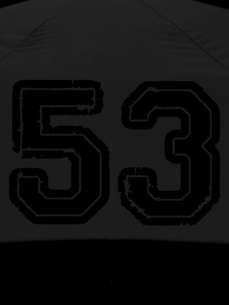 53