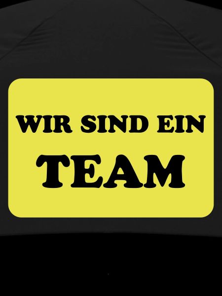 Team and Teamwork