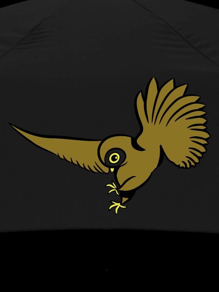 Chasse oiseau chouette