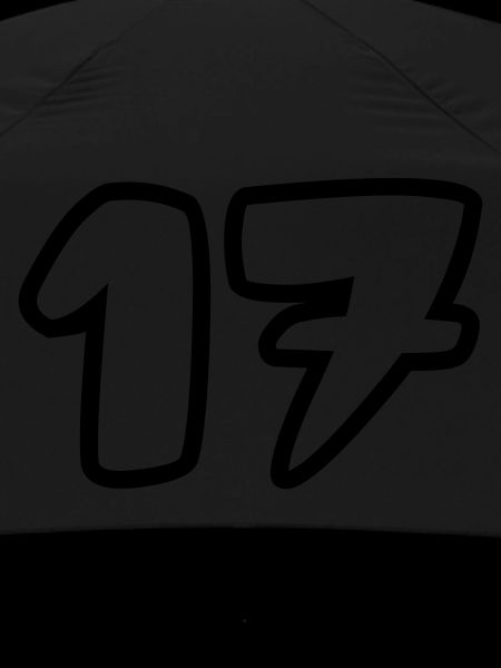 17