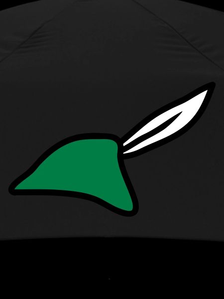 Robin Hood Hat