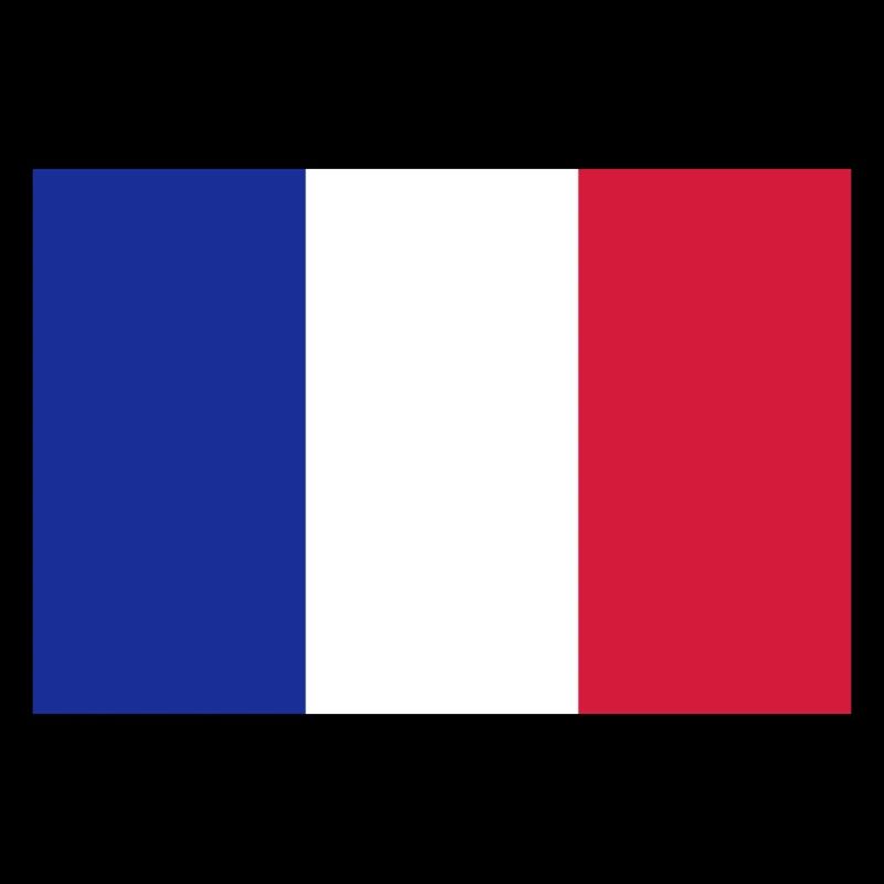 Drapeau français / French flag