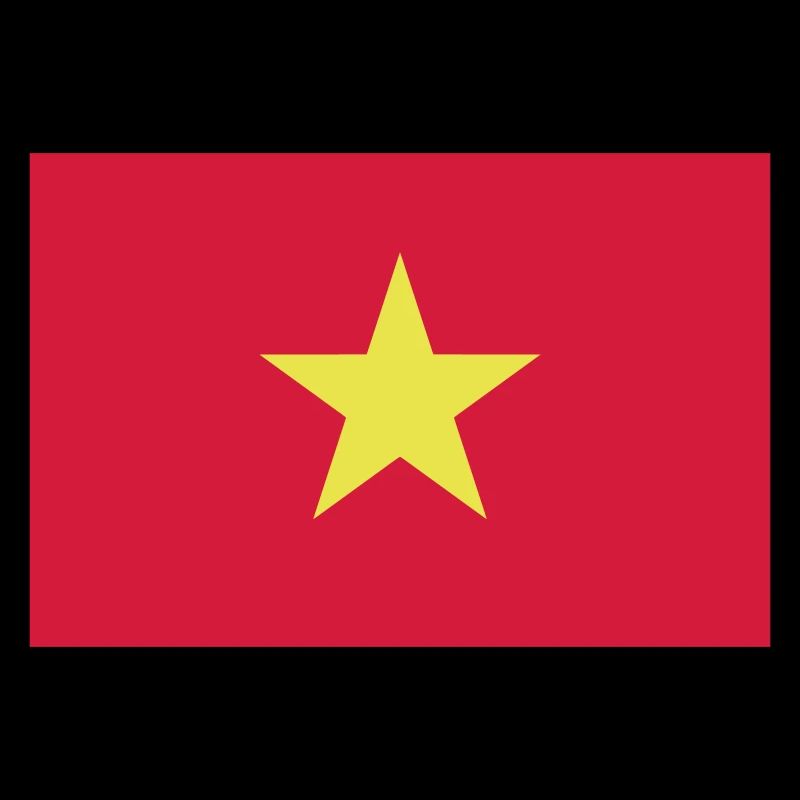 Vietnam flag / Drapeau Viêt Nam