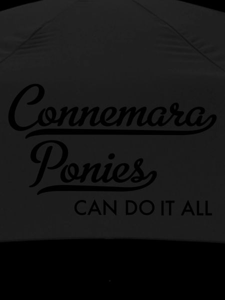 Poney du Connemara