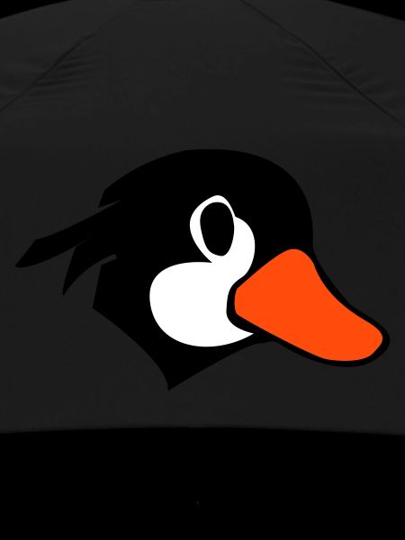 Comic Duck