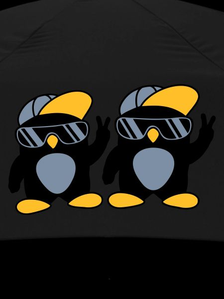 2 amis pingouins cool