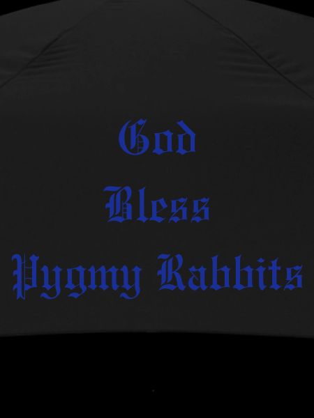 GodBlessPygmyRabbits