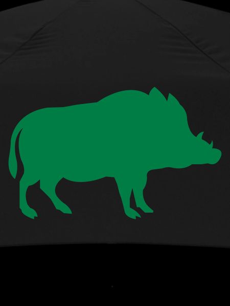 wild boar
