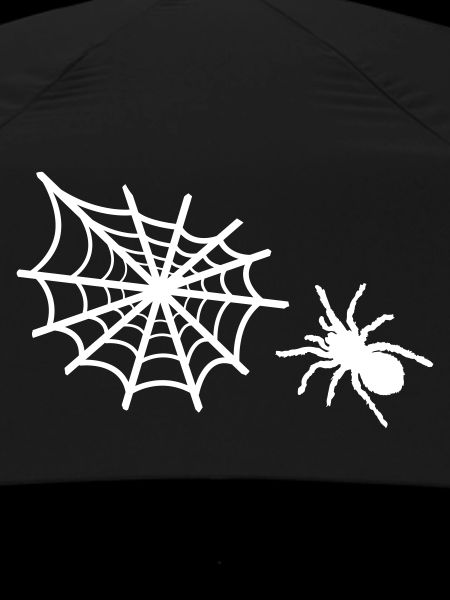 spider spider web