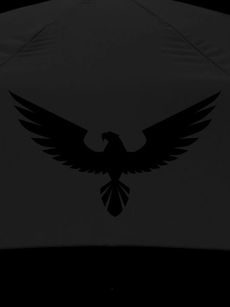 Hawk