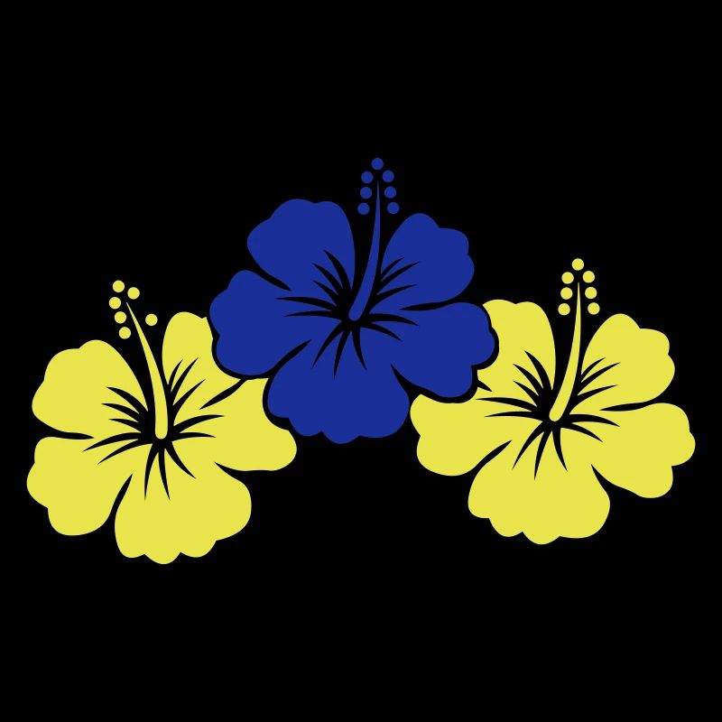Fleurs d’hibiscus