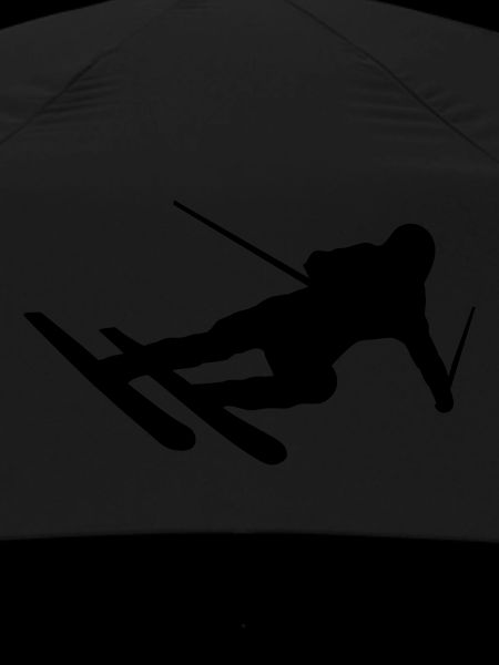 Ski
