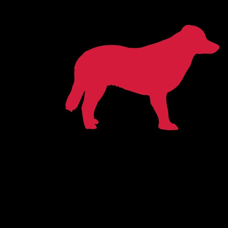 Chien que j’aime 2