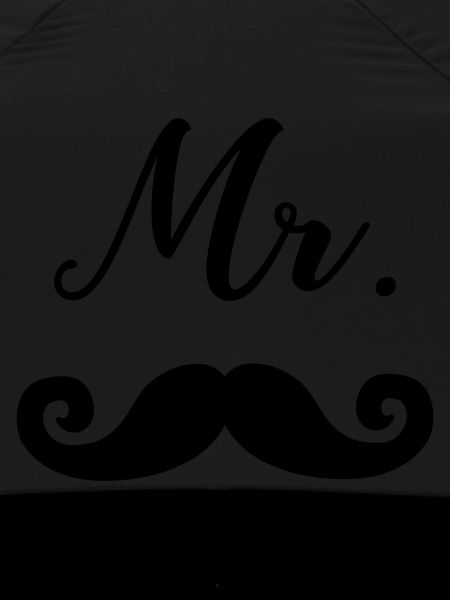 Mr Moustache