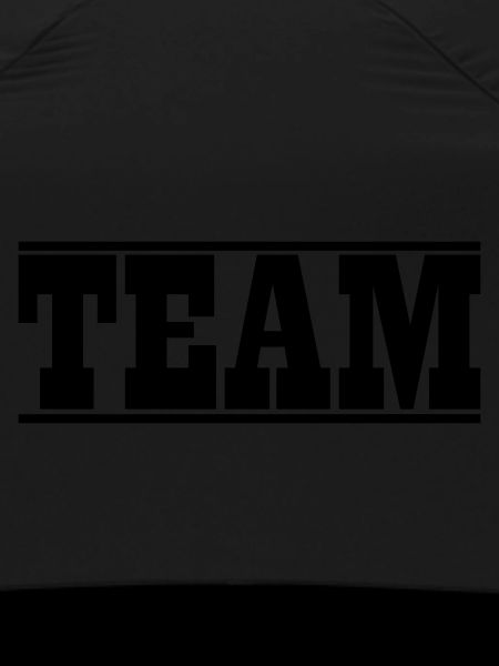Team design