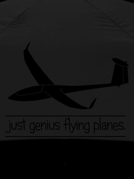 Glider gliding glider flying