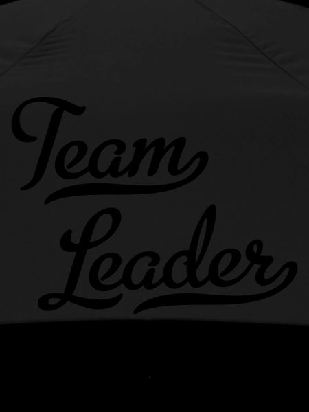 Team leader
