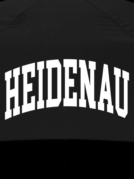 Heidenau