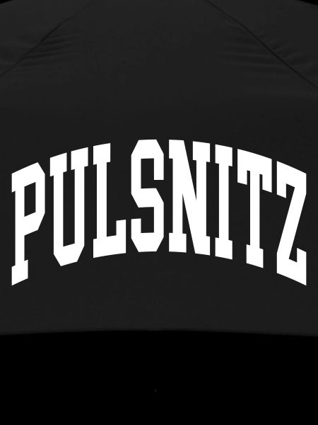 Pulsnitz