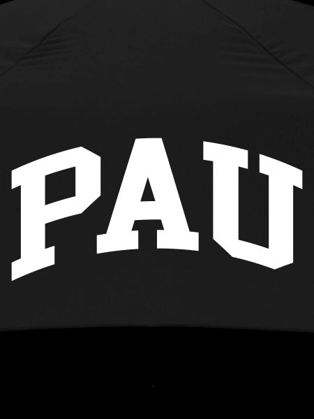 Pau