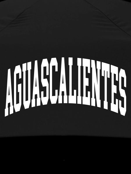 Aguascalientes