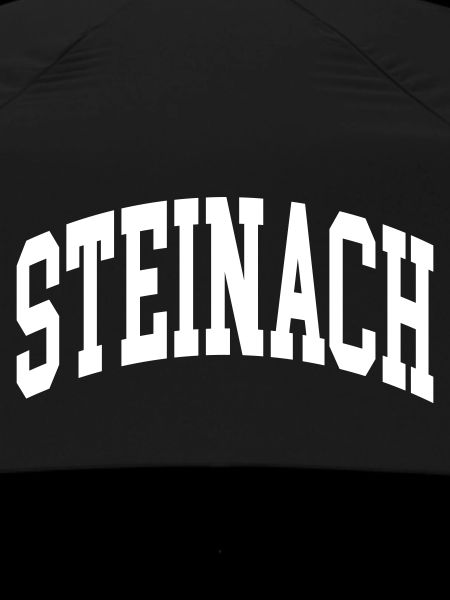 Steinach