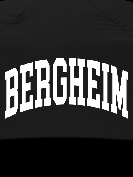 Bergheim
