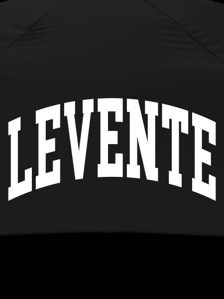 Levente