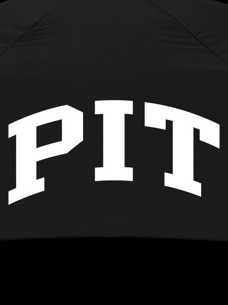 Pit