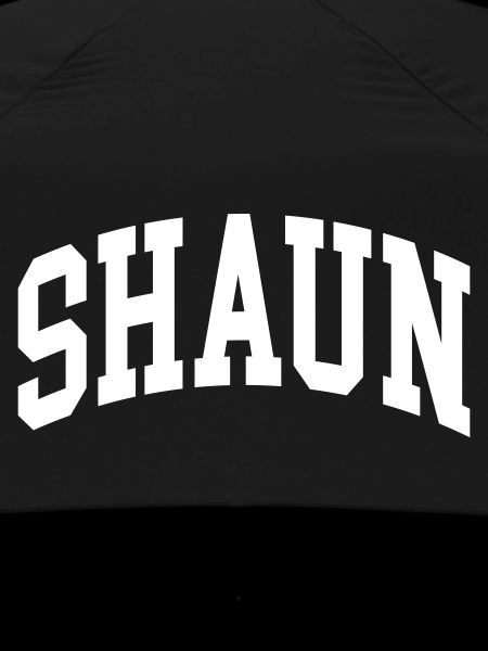 Shaun