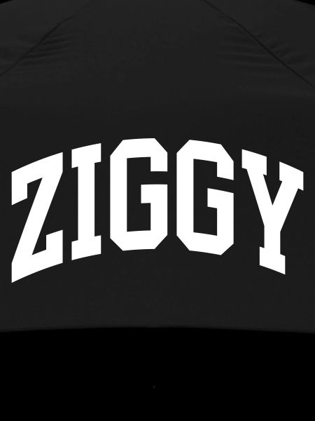 Ziggy
