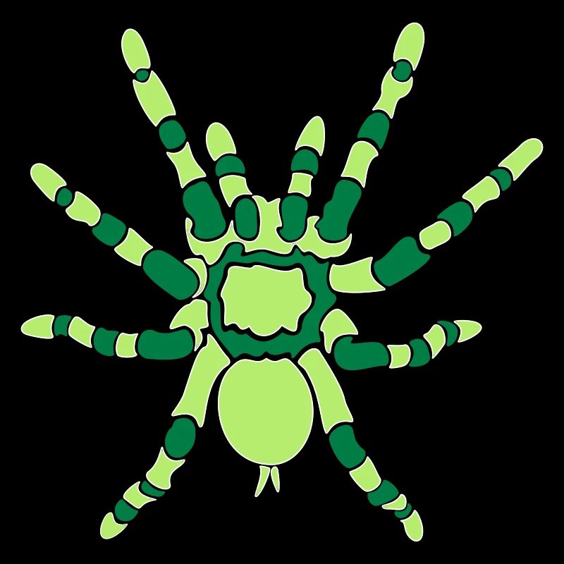 Tarentule orange du genou