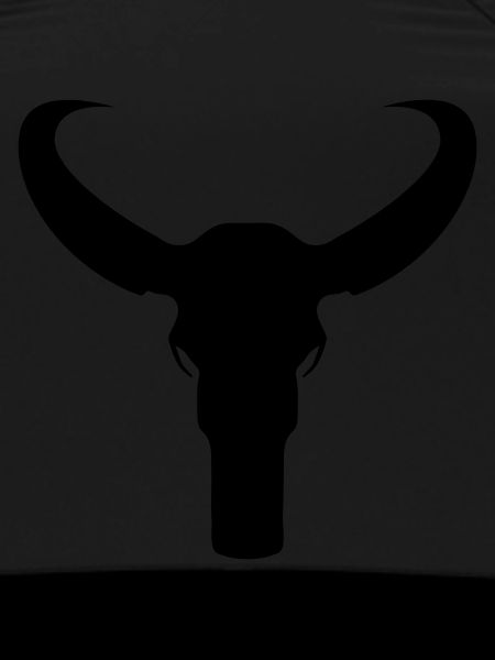 Bull Skeleton