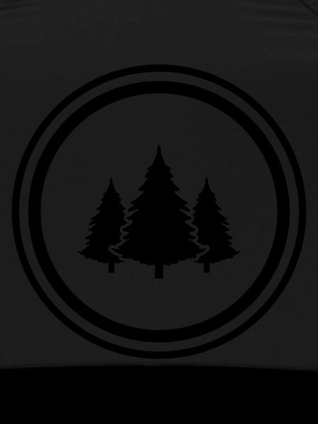 Tree Forest Fir