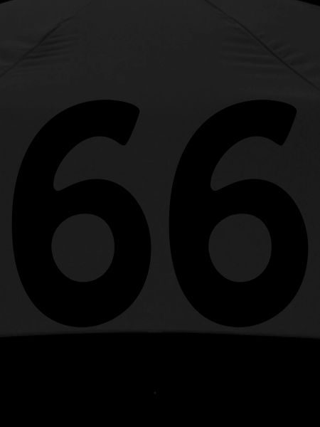 66