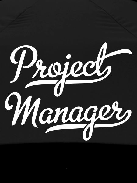 Project Manager