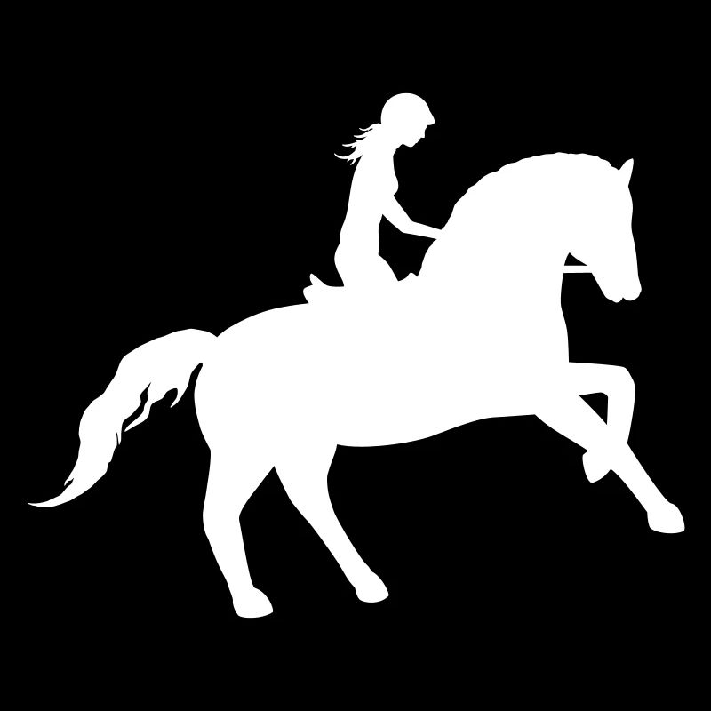 Le cavalier et le cheval unis